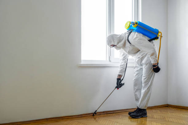 Best Commercial Pest Control  in Cementon, PA